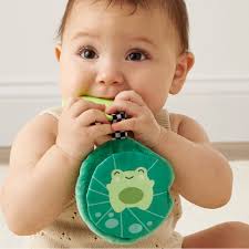 Crinkle Frog Teether